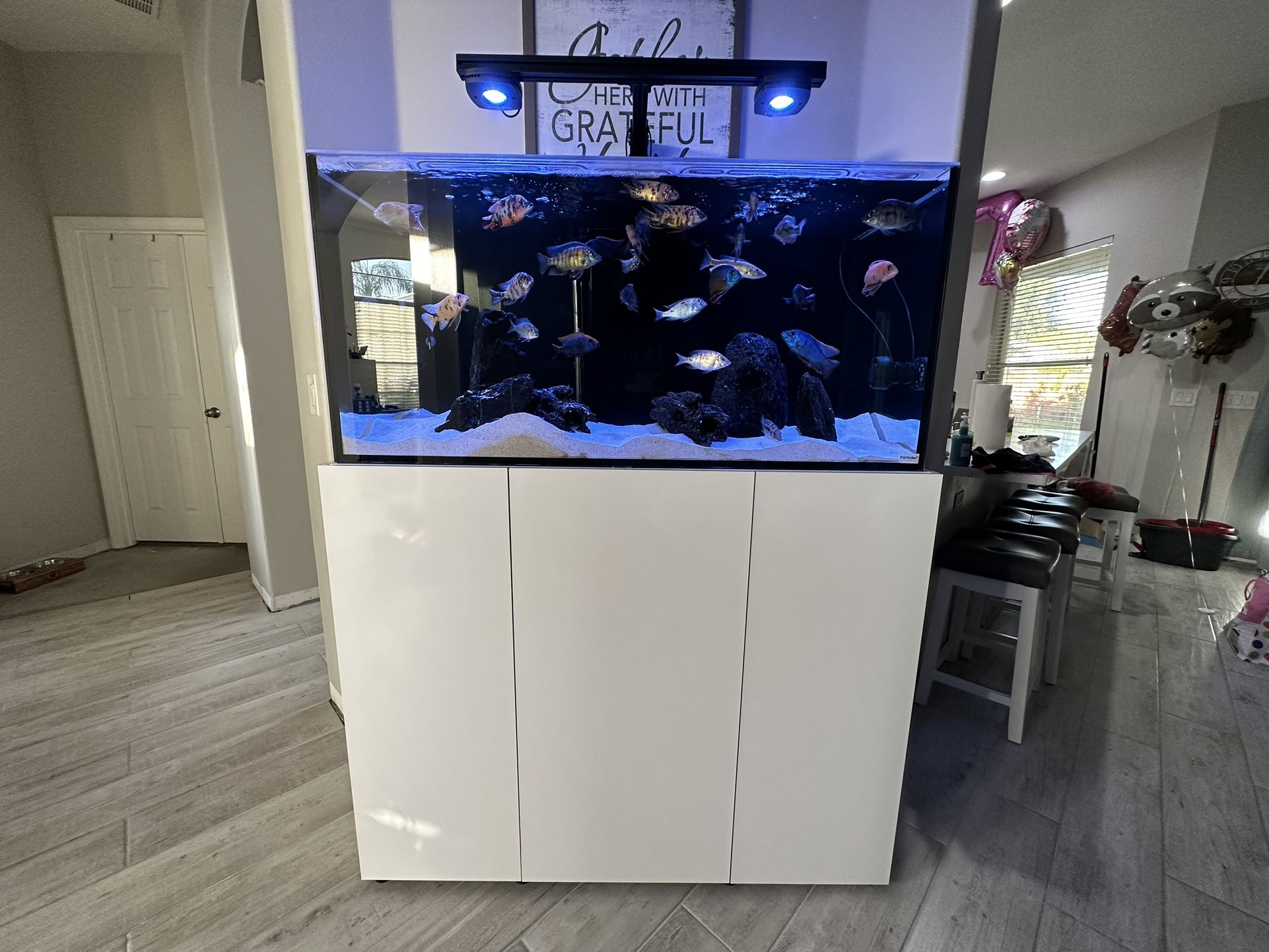 108 Gallon Fiji Cube Aquarium 