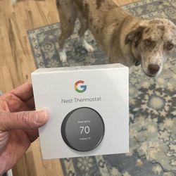 Google Nest Thermostat 
