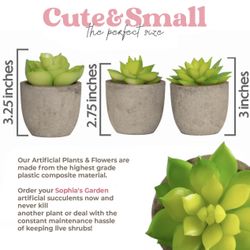 Artificial Plants - Multi Color (bulk sale only)
