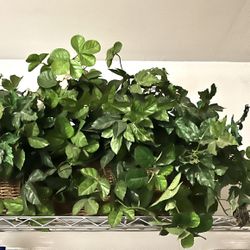 Large Silk Accent Plant In Basket