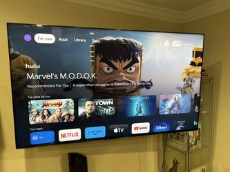 65 Inch Sony Bravia Tv