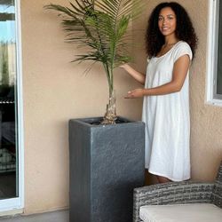 Outdoor Live Plants with Modern Tall Planters