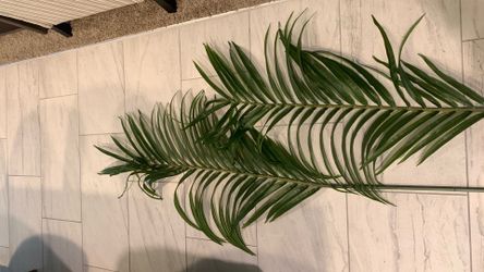 Pottery Barn Faux Palm Leaf Botanicals