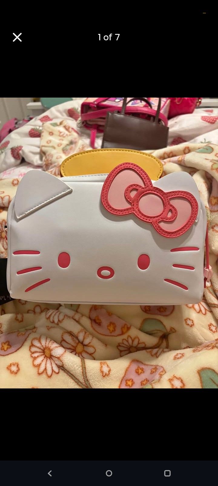 Lounge fly HELLO KITTY toaster Purse W/ Toast Wallets