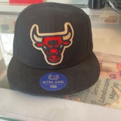 Bulls Hat