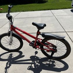 RoyalBaby Kids Bike EZ Balance to Pedal Dual Handbrake Toddlers Boys Girls Bicycle 12-20 Inch for Age 3-10 Years