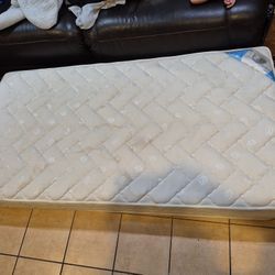 Free Twin Size Mattress 38" X 75" 