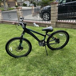 Blue Mountain Bike