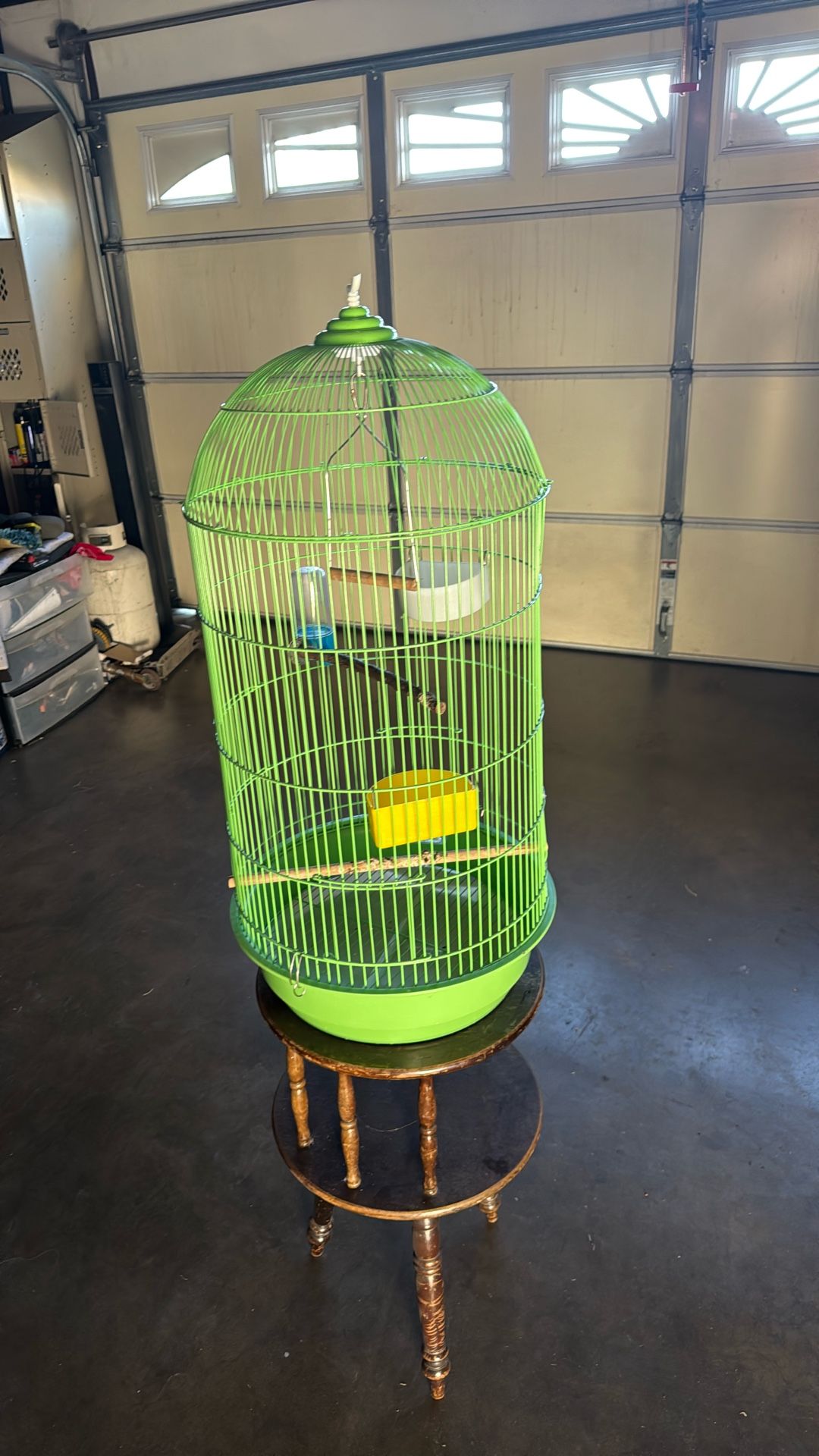 Bird Cage