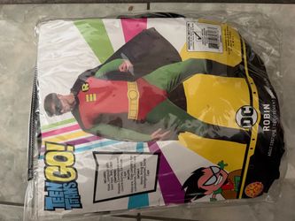 Robin Costume