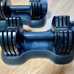 27.5LB Pair Adjustable Dumbbell Set Weights