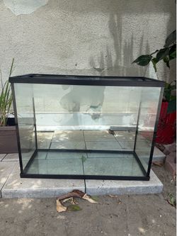 29 Gallon Aquarium