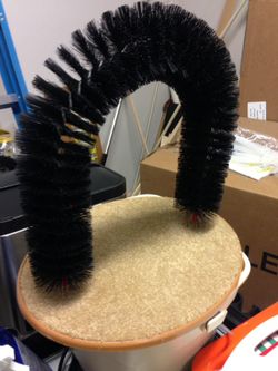 Cat toy