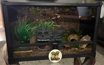 10 Gallon Enclosure