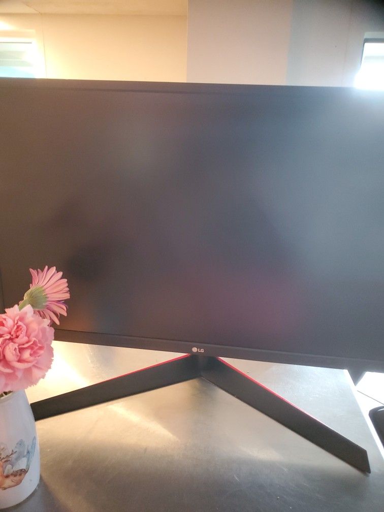 27" LG Gaming Monitor
