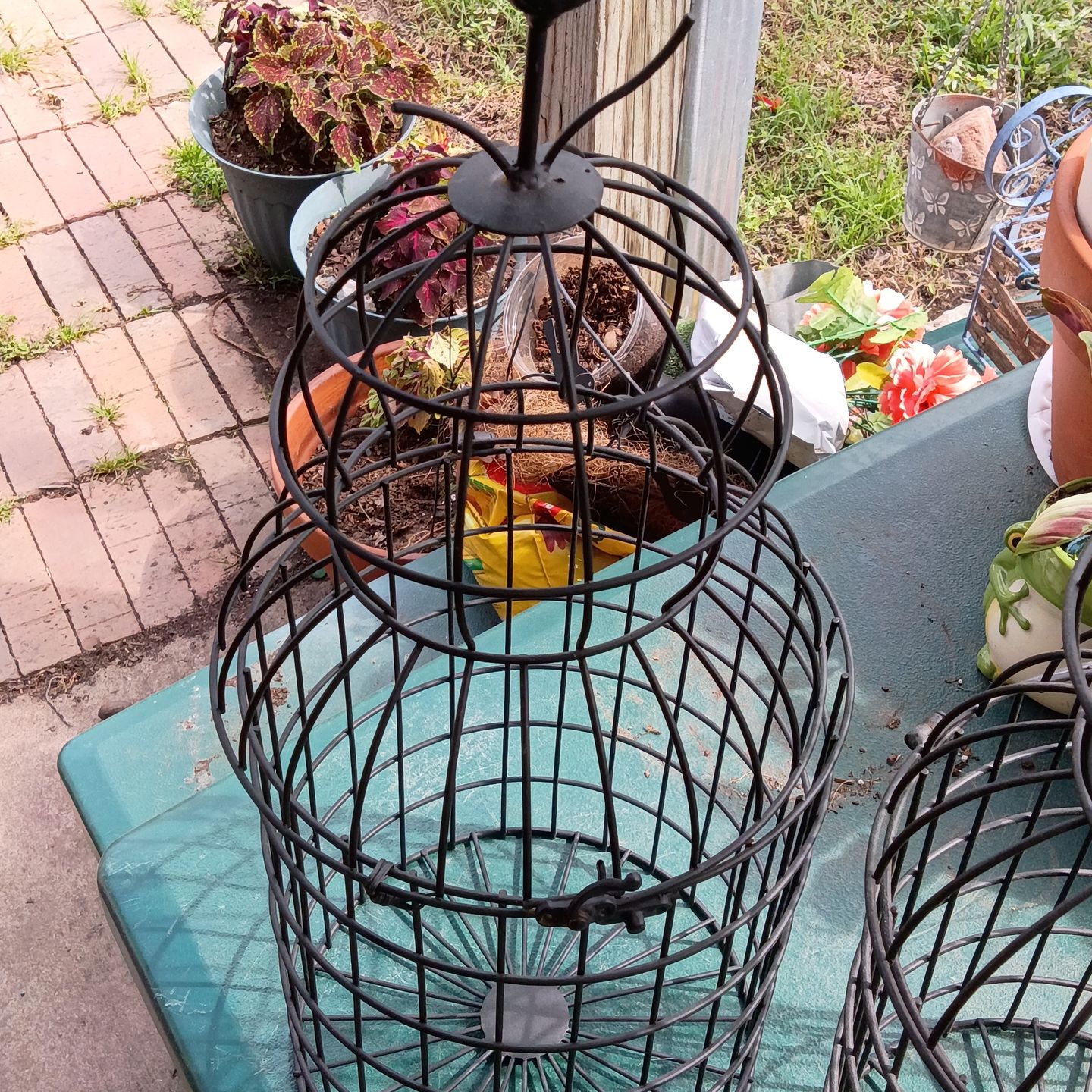 bird cages 2