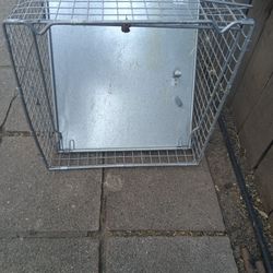 Little Giant live Animal Trap 