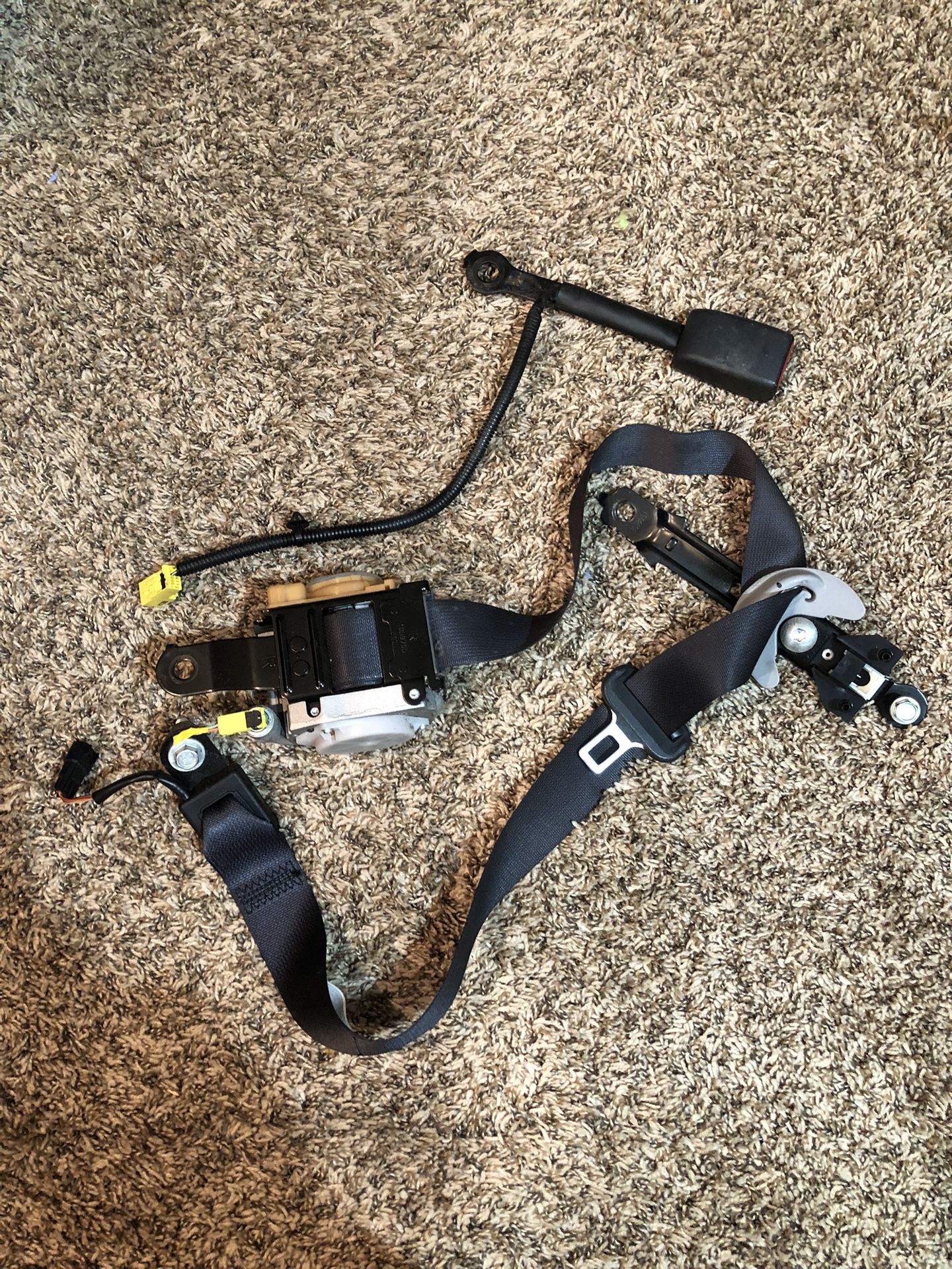 Kia Sportage 2009. Seat belts driver and passenger.