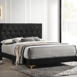 Brand New Black/Gold Bed