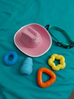 Small/Medium size dog toys & clothes