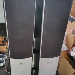 Tall Speakers With Sony Digital Audio Control Center