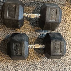 Rogue Dumbbells 100 Lb 