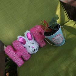 Easter Tin With Devil's Backbone & Succulent