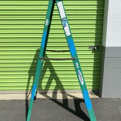 225 Pound 6 FT Ladder 