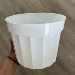Plastic White Pot 