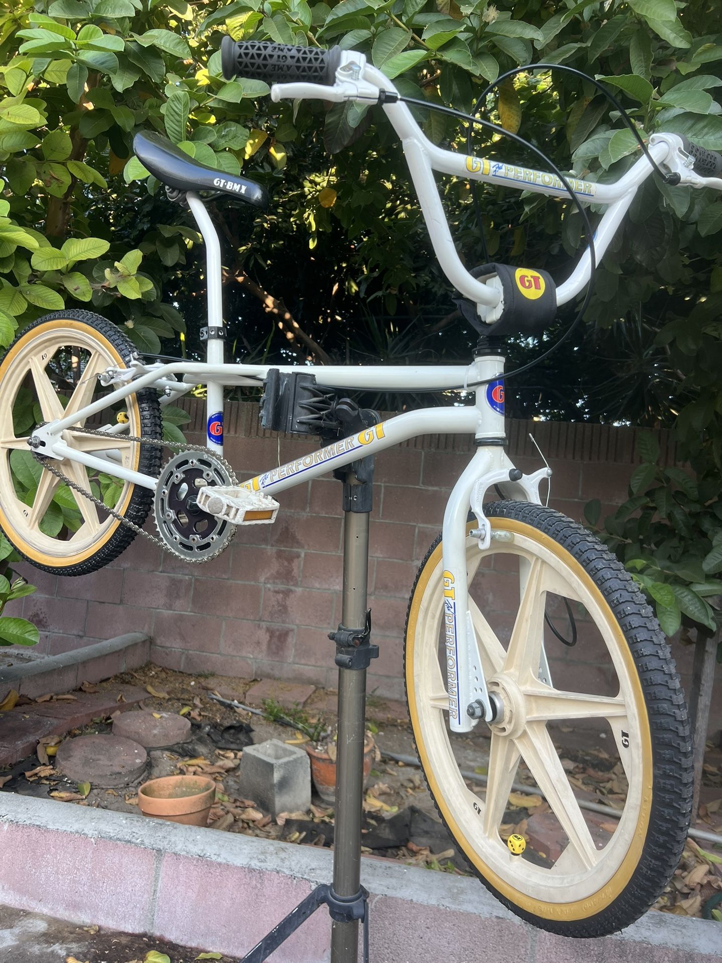 Vintage Gt Performer Bike Great Collection Old School Vintage BMX