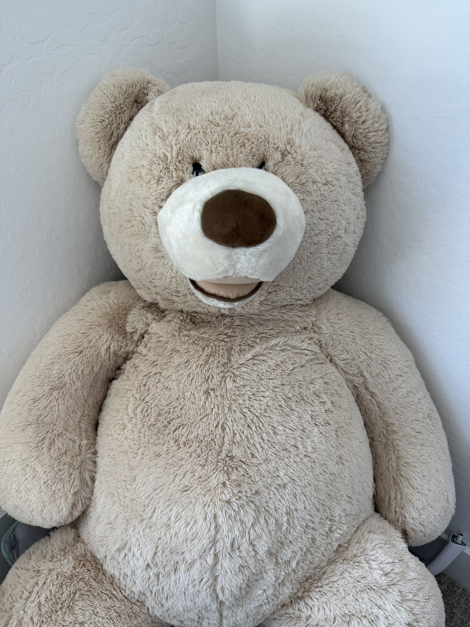 Big Teddy bear