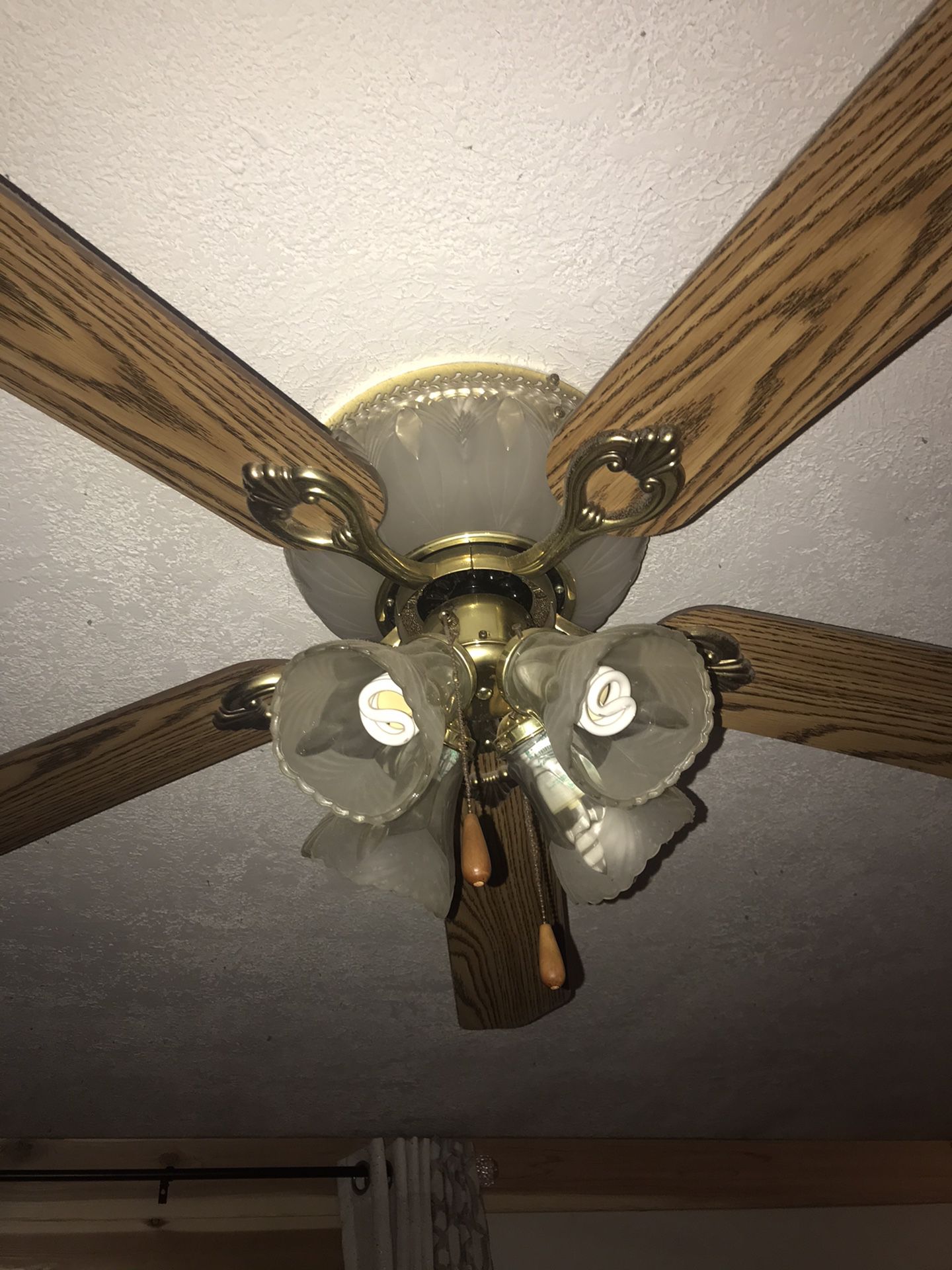 Dual lighted ceiling fan
