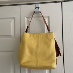 Yellow Prune Purse
