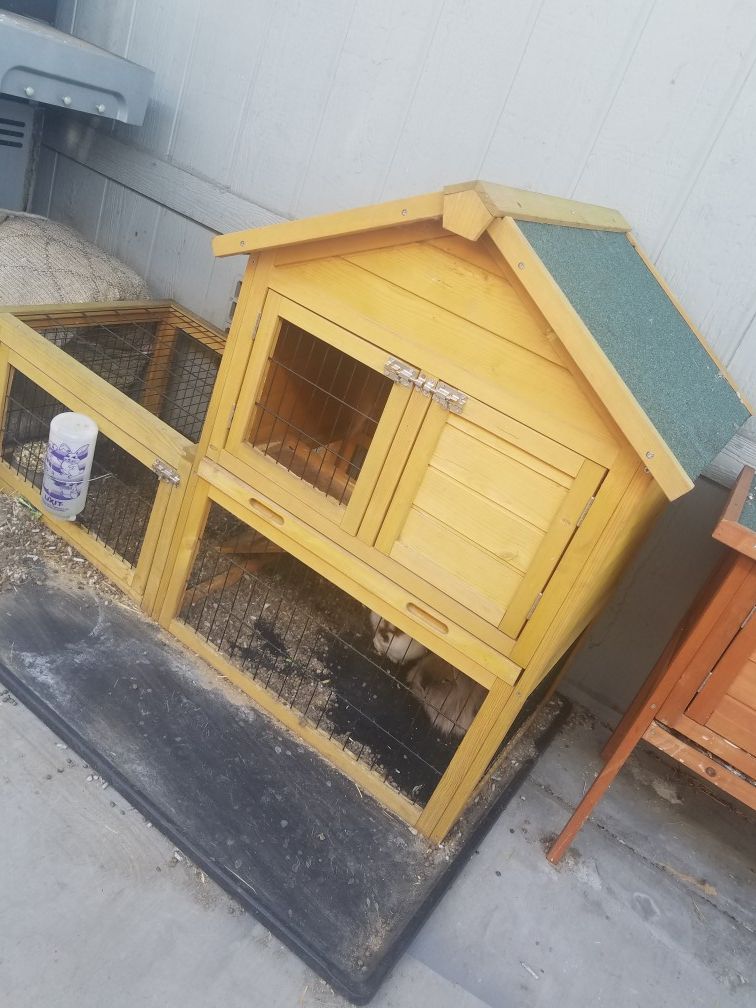 Rabbit hutch