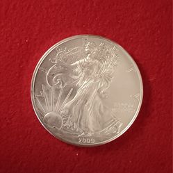 2009 Silver Eagle 
