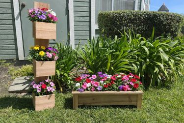 PLANTERS