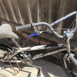 Ambush Kent Bike