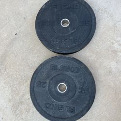 Eleiko Crumb 25lb Olympic Bumper Plate Set Weights