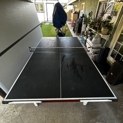 Ping Pong Table 