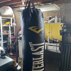 Punching Bags And Gloves 
