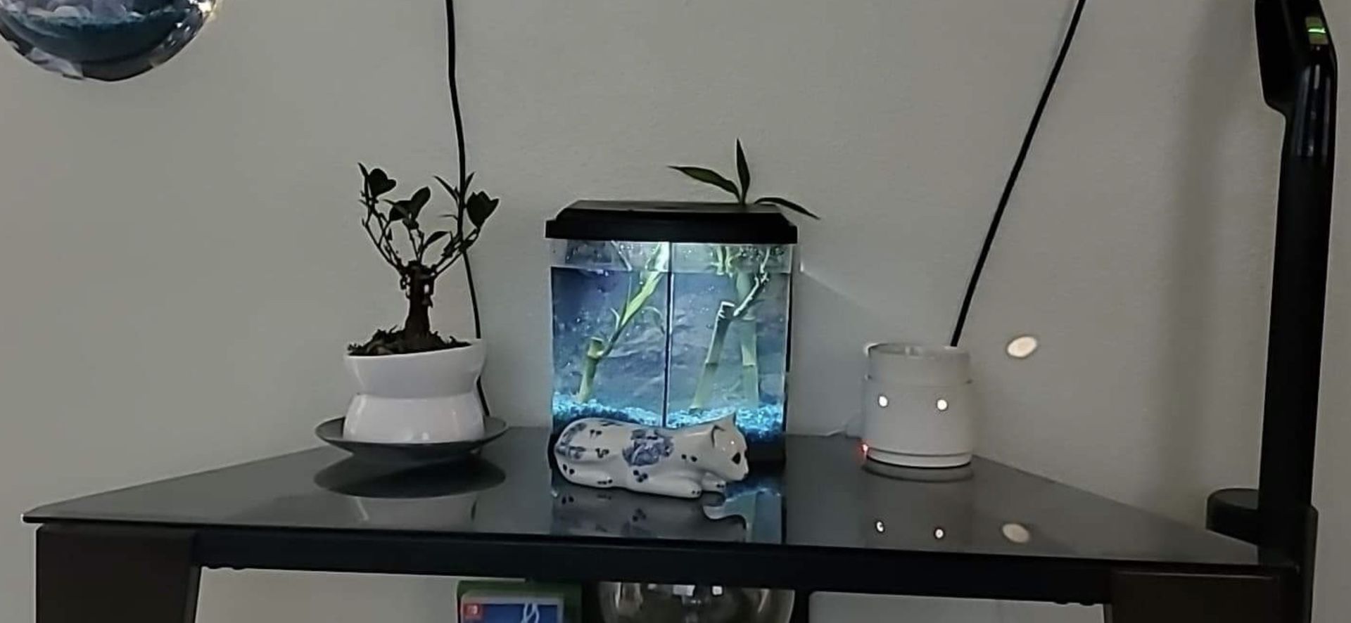Small Fish Tank
