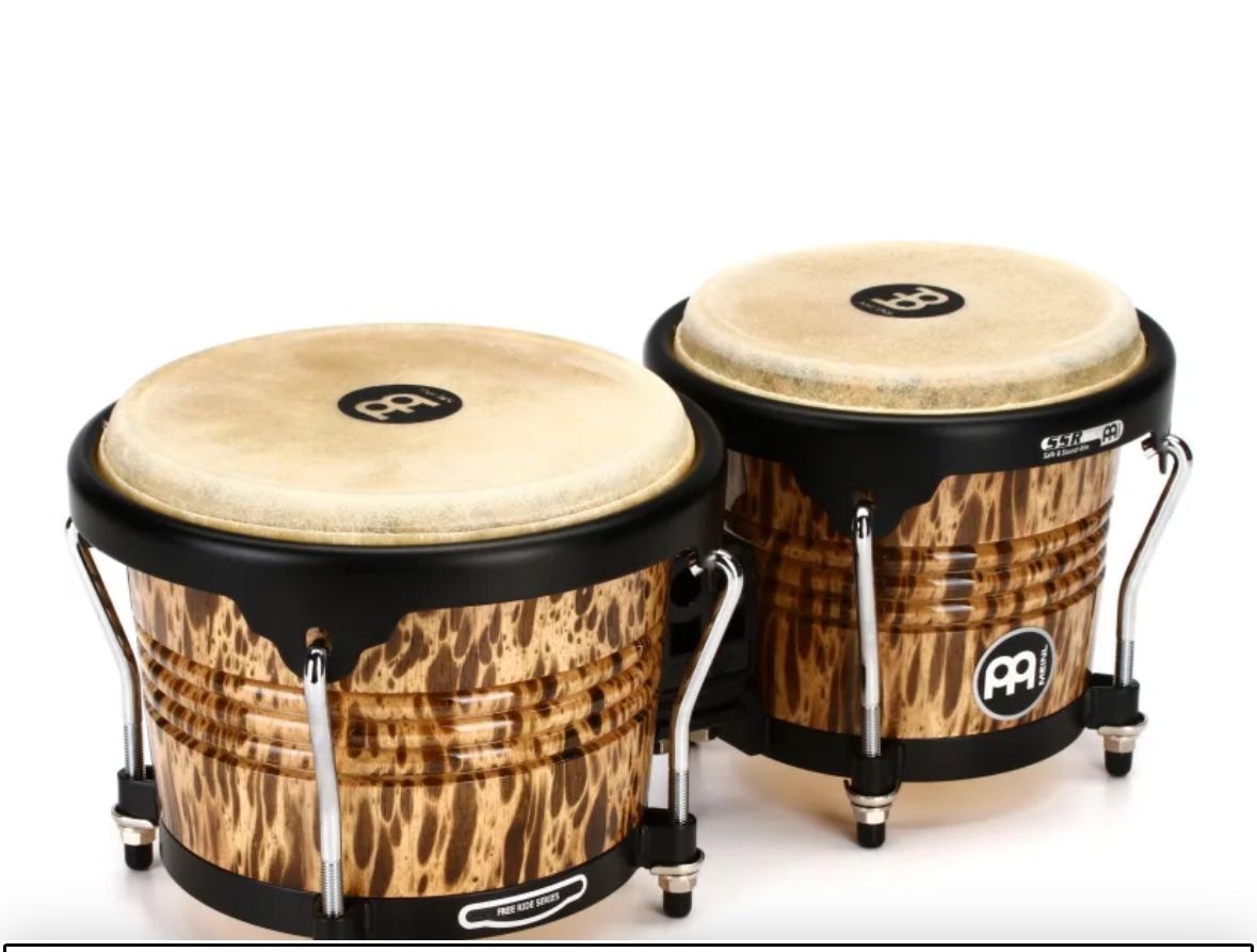 Bongo Profesional. Mainl
