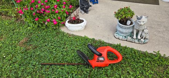 Hedge clipper