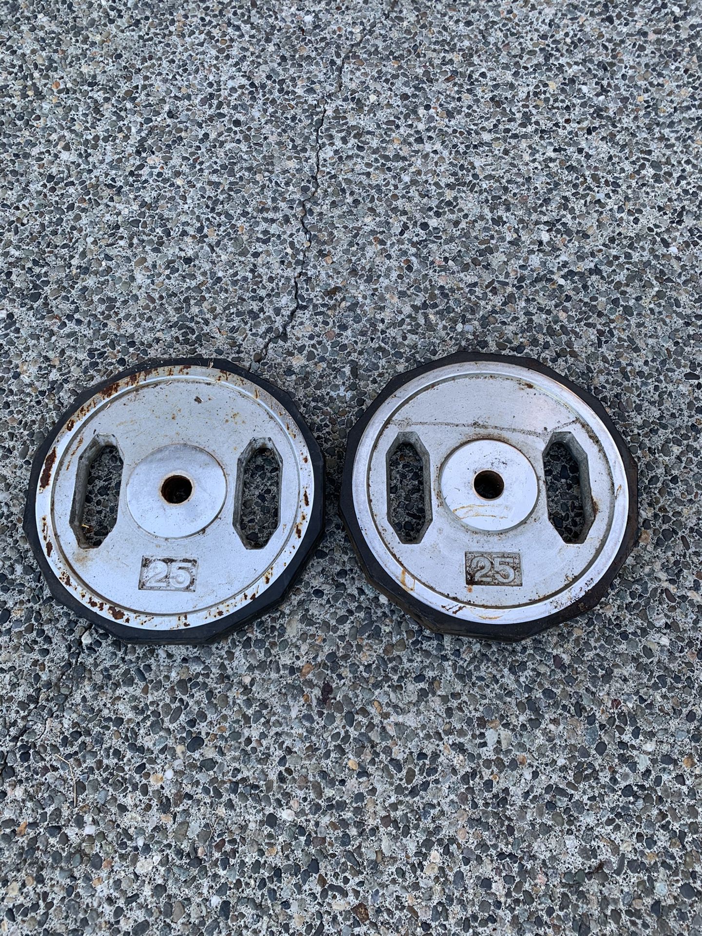 25lb Rubber Bumper Plates Pair (50lb of Weight)