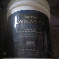 DYNASTY Paint 5gal Retaill 399