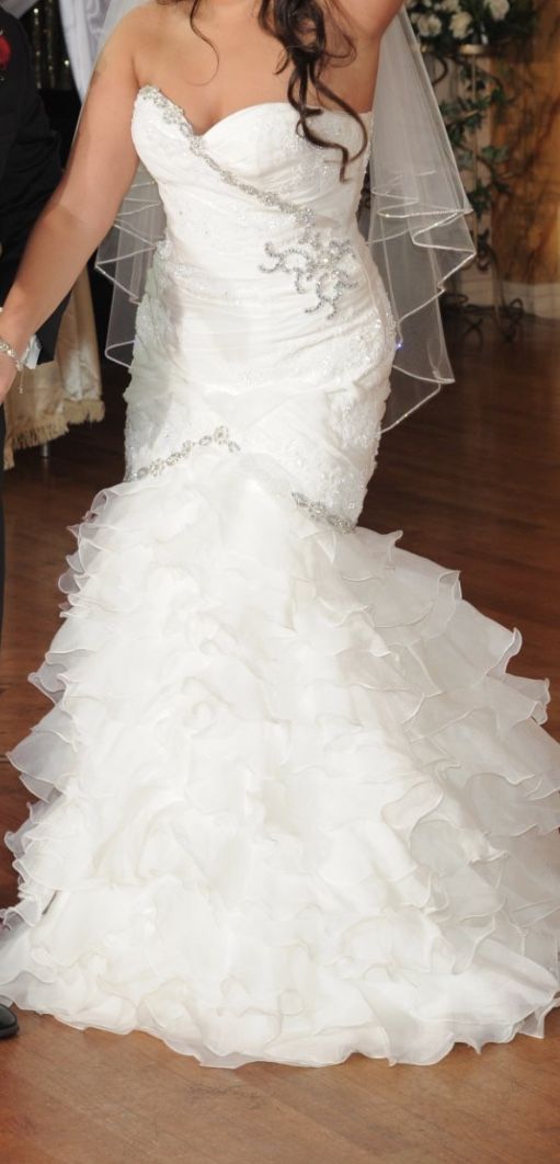 Wedding Dress & Veil