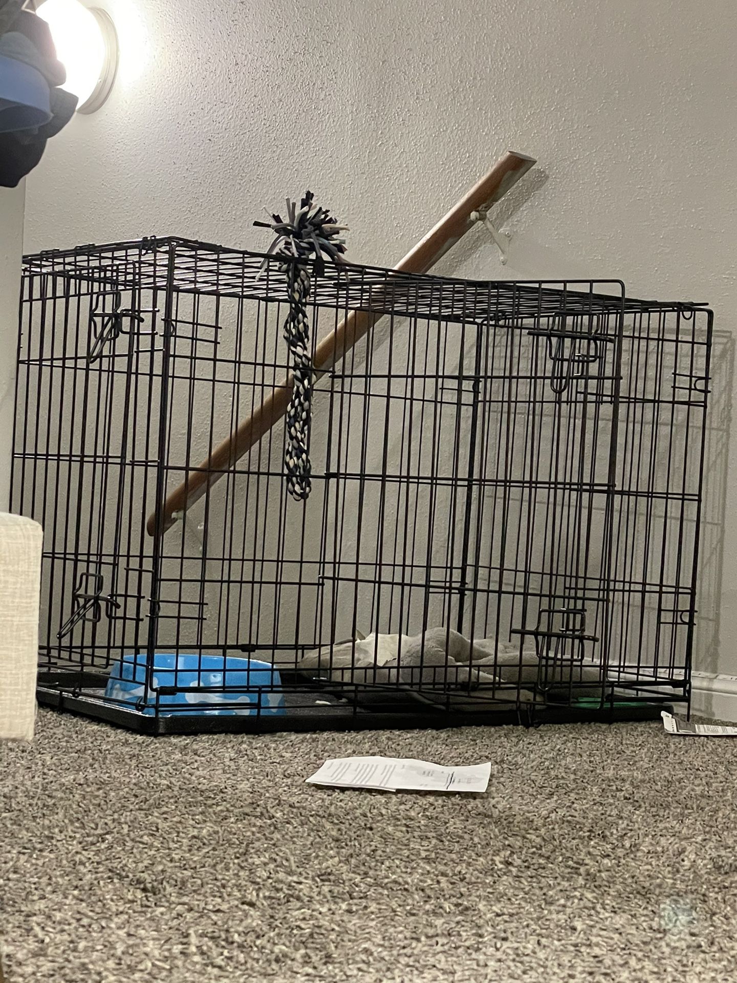 Dog crate & other dog things