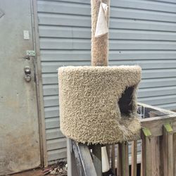 Cat Tower