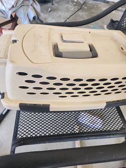 Pet  kennel