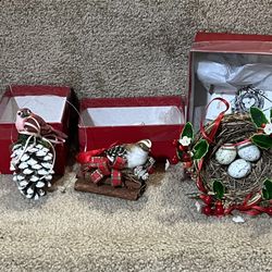 The Christmas ornament collectors club lot of 3 Birds Nest Pine cones